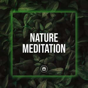 Nature Meditation - Sounds Of Nature