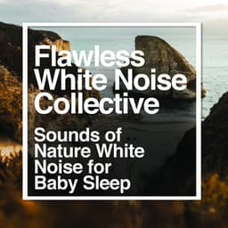 Flawless White Noise Collective - Sounds of Nature White Noise for Baby Sleep