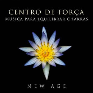 Centro de Força - Musica para Equilibrar Chakras - Relaxamento