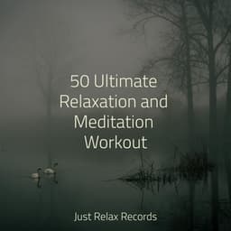 50 Ultimate Relaxation and Meditation Workout - Meditar Profundamente
