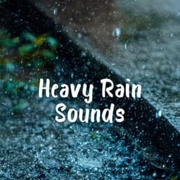 Heavy Rain Sounds - Sleeping Noises and Calming Relax Therapy Noise