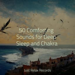 50 Comforting Sounds for Deep Sleep and Chakra - Yoga Namaste