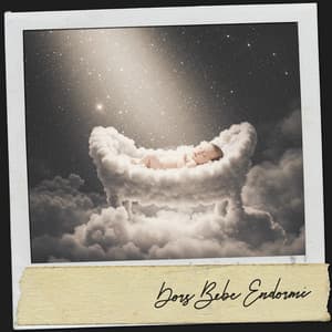 Dors Bébé Endormi: Berceuses pour l'Âme - Dog Relaxation