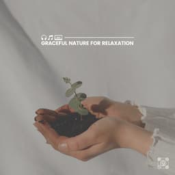 Graceful Nature for Relaxation - Tranquility Spa Universe