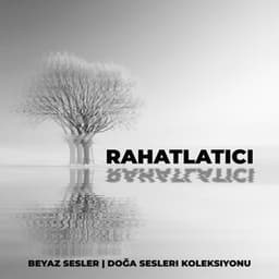 Rahatlatıcı Beyaz Sesler - Earl Cooper
