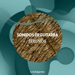 zZz Sonidos de Guitarra Serenos e Indulgentes zZz - Guitarras Mágicas
