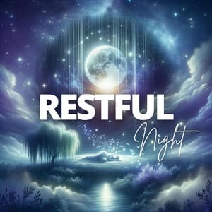Restful Night - Katarzyna Mazur