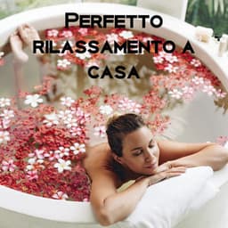 Perfetto rilassamento a casa - Kelsy Owell