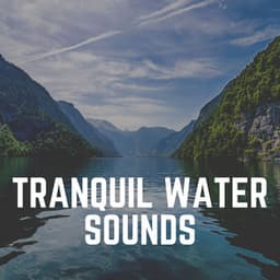 Tranquil Water Sounds - The Water Sleepers