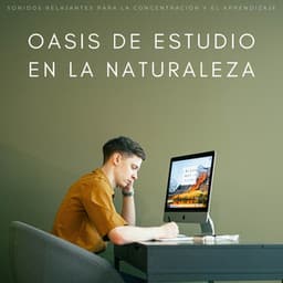 Oasis De Estudio En La Naturaleza: Sonidos Relajantes Para La Concentración Y El Aprendizaje - Naturaleza Calma