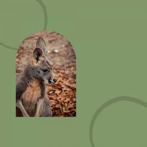 Ambiance for Refreshing Spring - Música para Desayuno