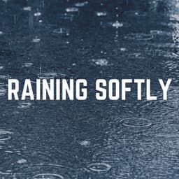 Raining Softly - Rain Sounds Nature Collection