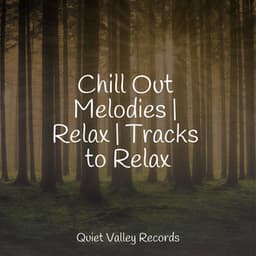 Chill Out Melodies | Relax | Tracks to Relax - Rain