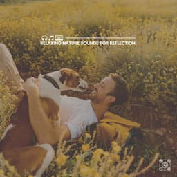 Relaxing Nature Sounds for Reflection - Natural Sound Makers