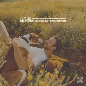 Relaxing Nature Sounds for Reflection - Natural Sound Makers