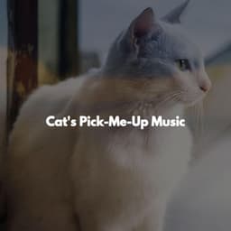 Cat's Pick-Me-Up Music - Luxury Lounge Cafe Allstars