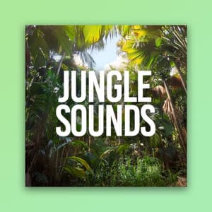 Jungle Sounds - Relaxing Music Therapy