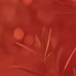 Music for Storytelling - No Drums Jazz - Soft Acoustic Jazz