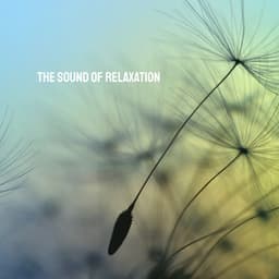 The Sound of Relaxation - Relaxation And Meditation