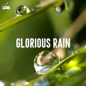 Glorious Rain - Rain Sounds Lab