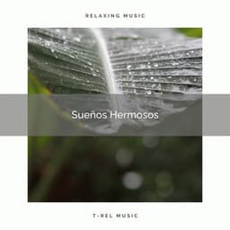 1 Sueños Hermosos - Música ambiental relajante