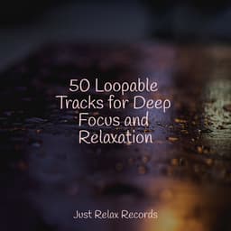 50 Loopable Tracks for Deep Focus and Relaxation - Brain Study Music Guys