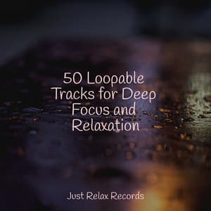50 Loopable Tracks for Deep Focus and Relaxation - Brain Study Music Guys