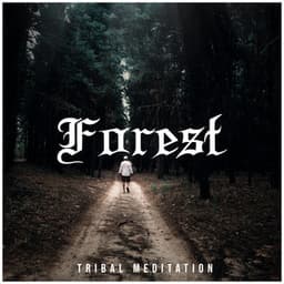 Forest Tribal Meditation – Native Instrumental Music, Nature Music, Deep Trance - Harmony Nature Sounds Academy