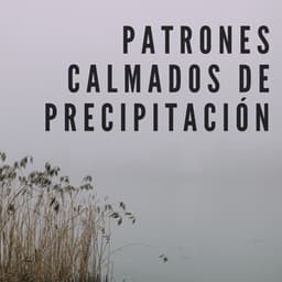 Patrones Calmados De Precipitación - Relajantes sonidos de lluvia