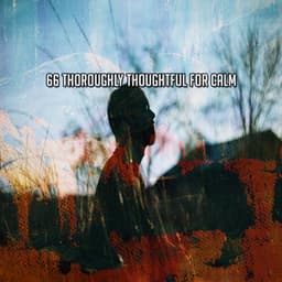 66 Thoroughly Thoughtful For Calm - Relaxing Meditation Songs Divine