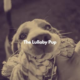 The Lullaby Pup - Calm Classic Jazz
