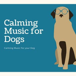 Calming Music for Your Dog - Calming Music for Dogs