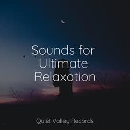 Sounds for Ultimate Relaxation - Meditative Music Guru