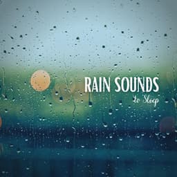 Rain Sounds to Sleep - White Noise Project