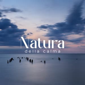 Natura della calma: Musica per alleviare lo stress, Rilassarsi - Relax musica new age club