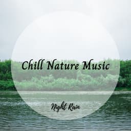 Night Rain: Chill Nature Music - Spa Music Playlist