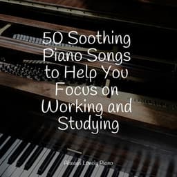 Chillout Sounds | Focused on Studying - Piano for Studying