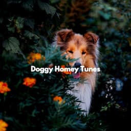 Doggy Homey Tunes - Dinner Table Jazz Dream