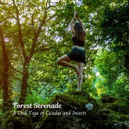 Forest Serenade: A Chill Yoga of Cicadas and Insects - Mother Nature
