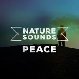 Nature Sounds: Peace - Nature Sounds for Concentration