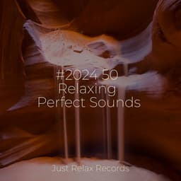 #2024 50 Relaxing Perfect Sounds - Spa Relaxation & Spa
