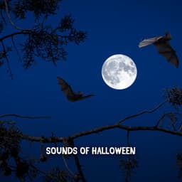 Sounds Of Halloween - Spooky Halloween Sounds