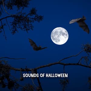 Sounds Of Halloween - Spooky Halloween Sounds