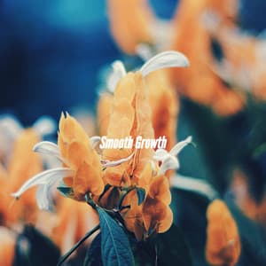 Smooth Growth - Happy Cooking Music