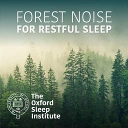 Forest Noise for Restful Sleep - The Oxford Sleep Institute