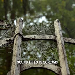 Sound Effects Screams - Spooky Halloween Sounds