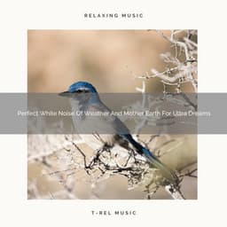 Perfect White Noise Of Weather And Mother Earth For Ultra Dreams - The Noise Project