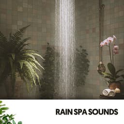 Rain Spa Sounds: Every Drop a Moment - Relajacion