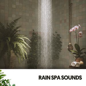 Rain Spa Sounds: Every Drop a Moment - Relajacion