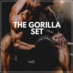 The Gorilla Set - Work Out Music